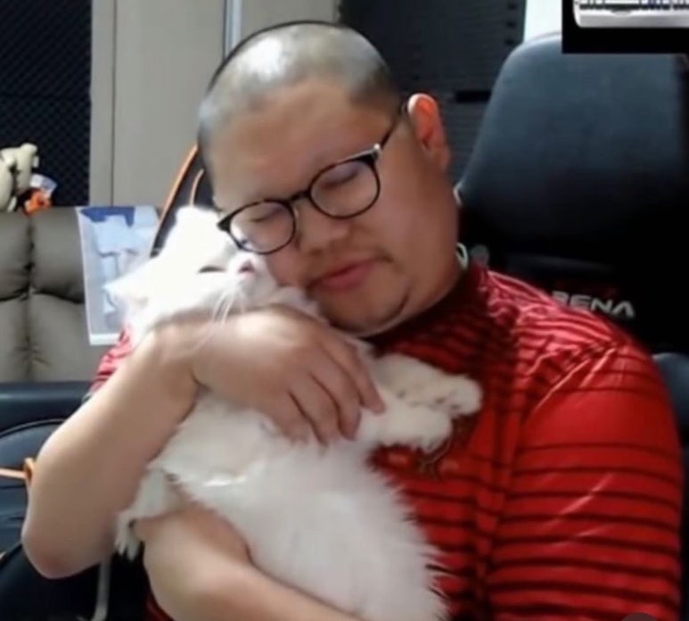 하미 이미지