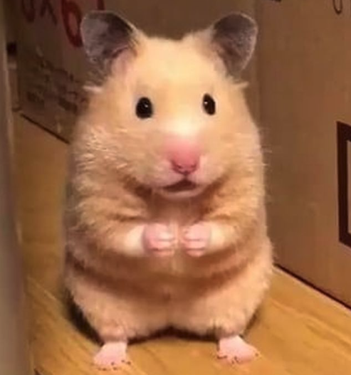 이진정형외과 이미지