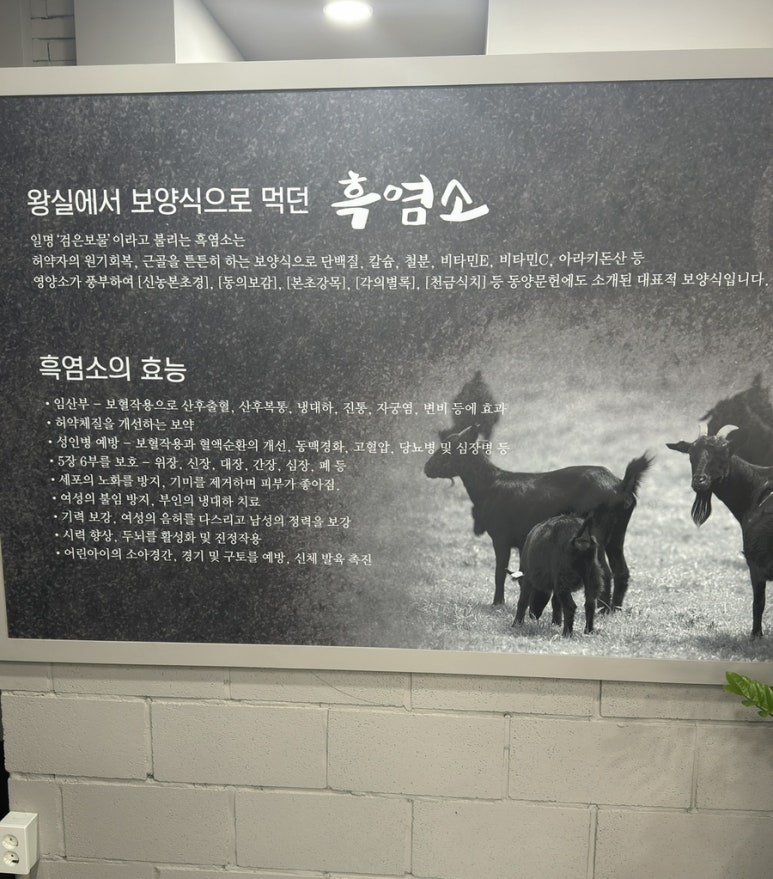 고산흑염소 이미지