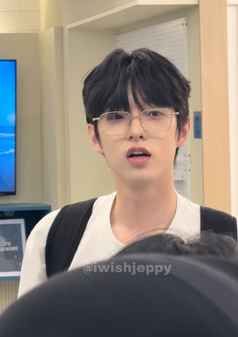 오데이지 이미지