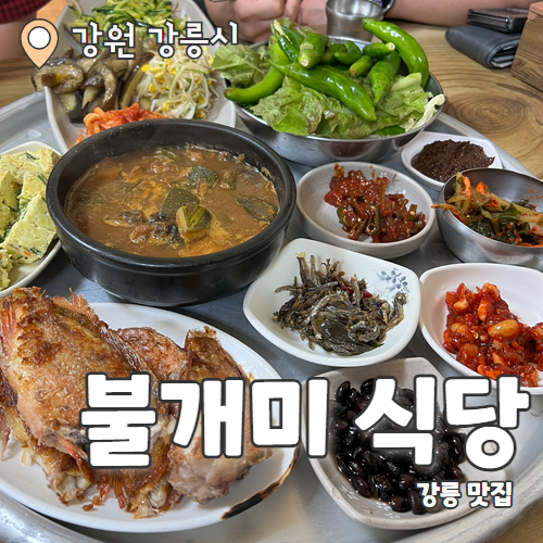 불개미식당 이미지