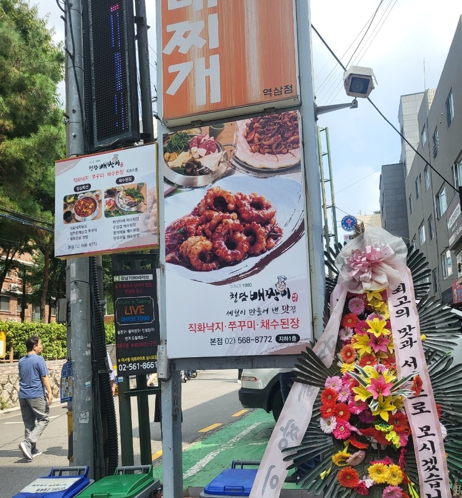 청담배짱이 이미지