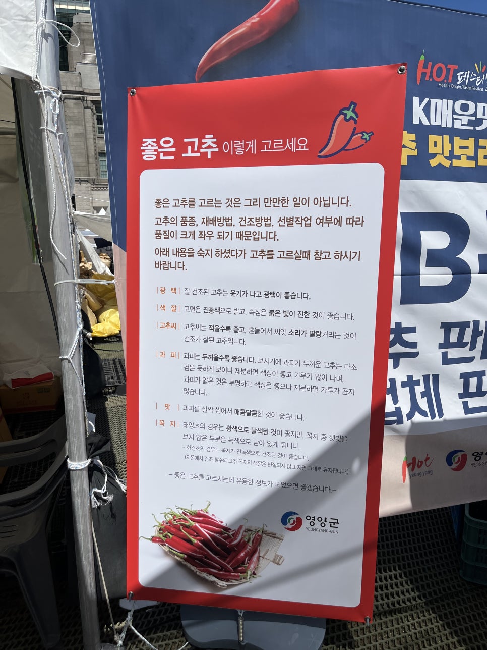리프컵스 이미지