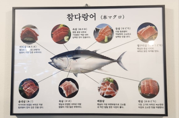 참치어신 이미지