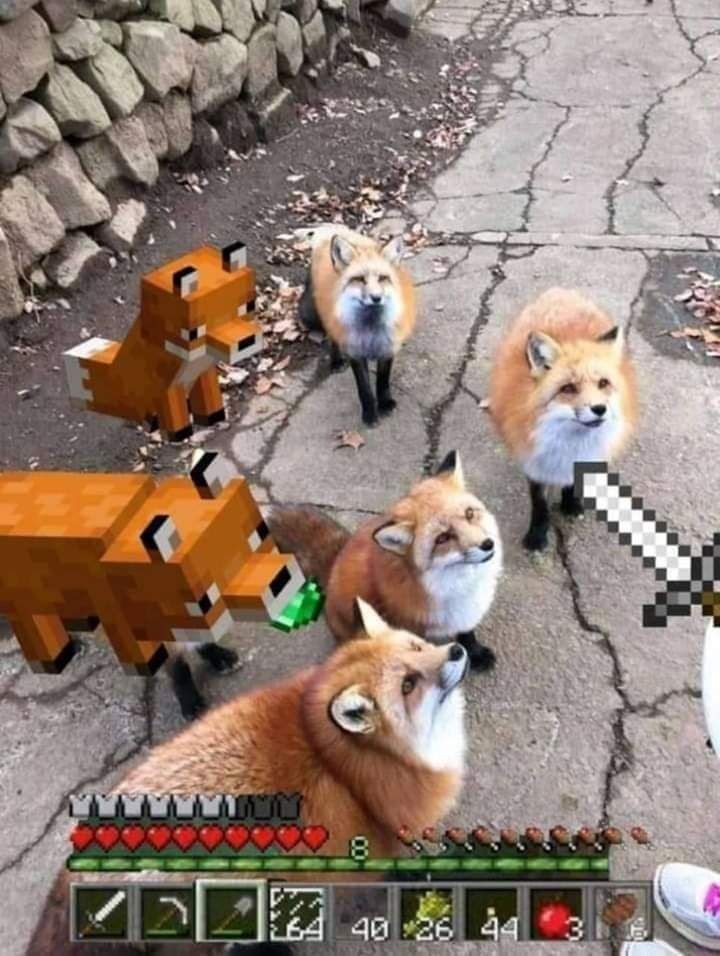바야바야 이미지