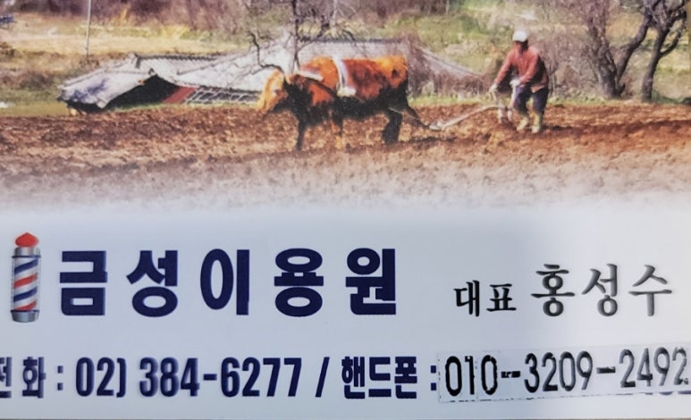 금성이용원 이미지