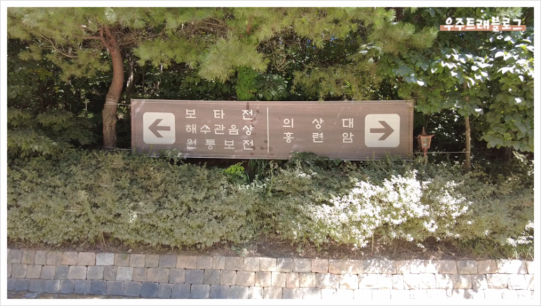 동계건어물 이미지