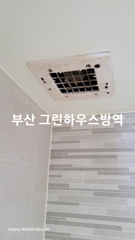 그린청소방역 이미지