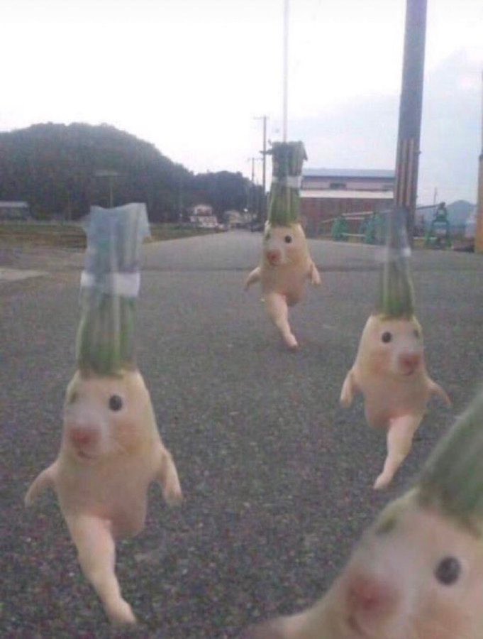 미투어 이미지