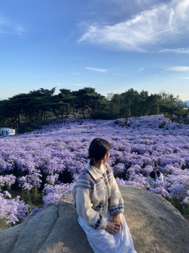 수애리 이미지