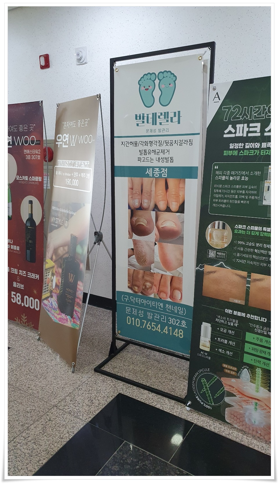 발데렐라 이미지