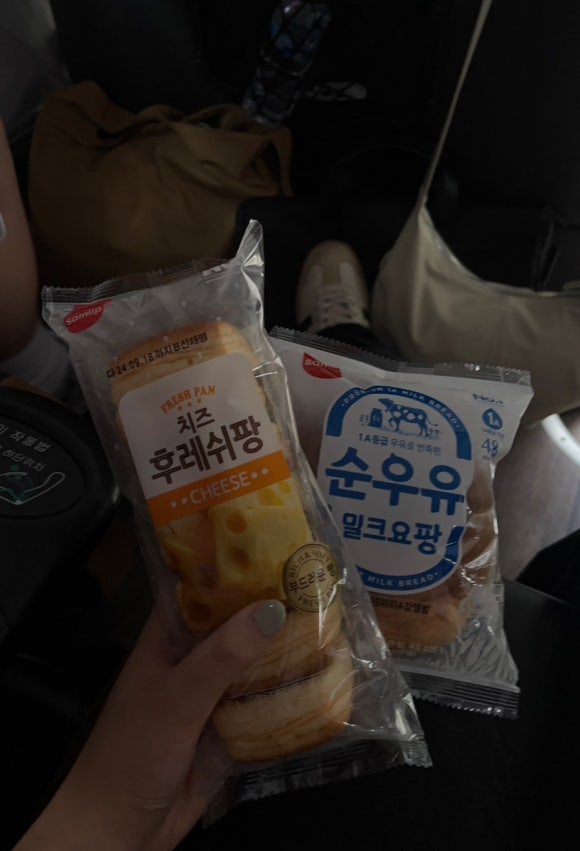 대바기네 이미지