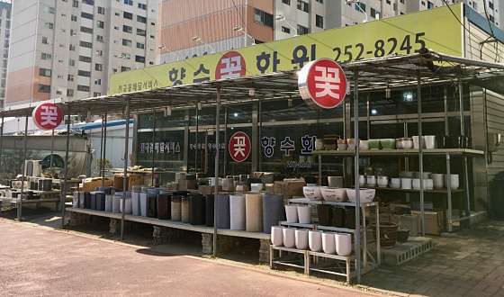 몸짱헬스 이미지