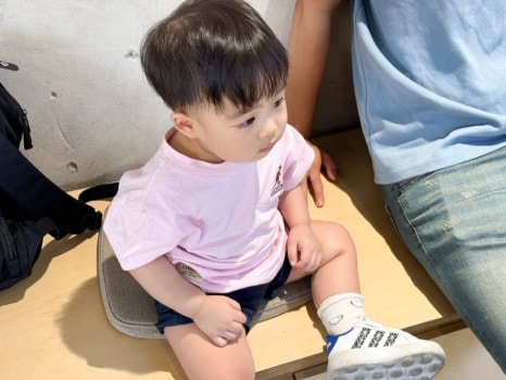 하울그라피 이미지