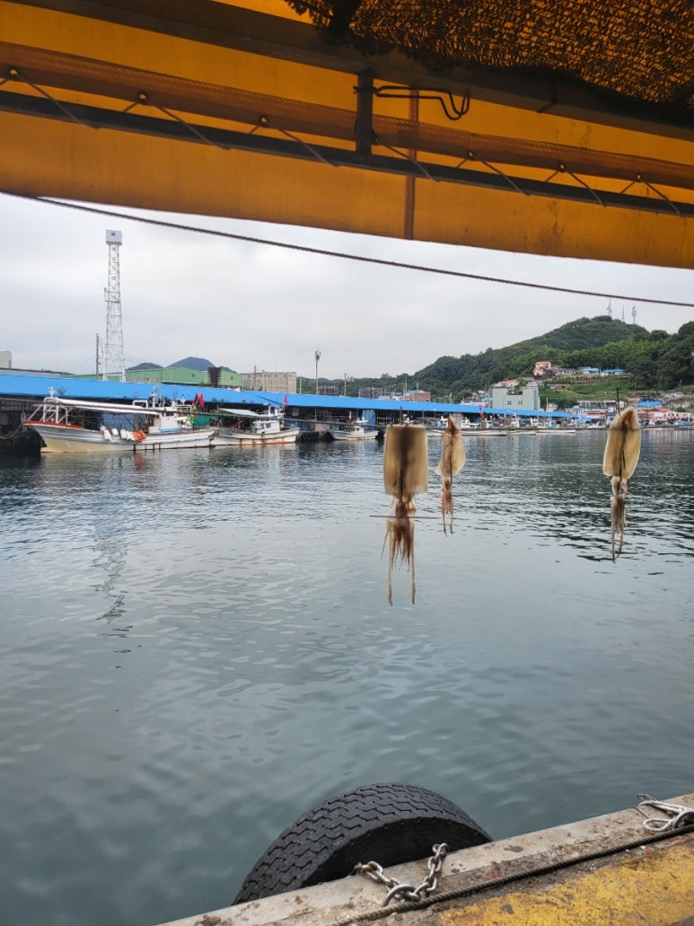 제16호오양수산 이미지
