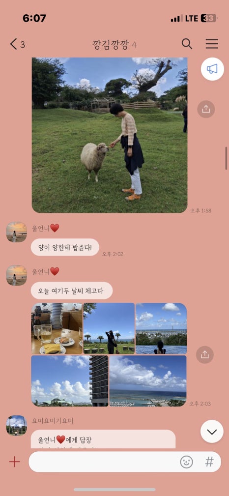 당플 이미지