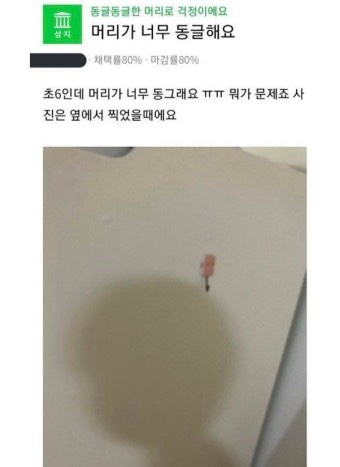 뮤뮤 이미지