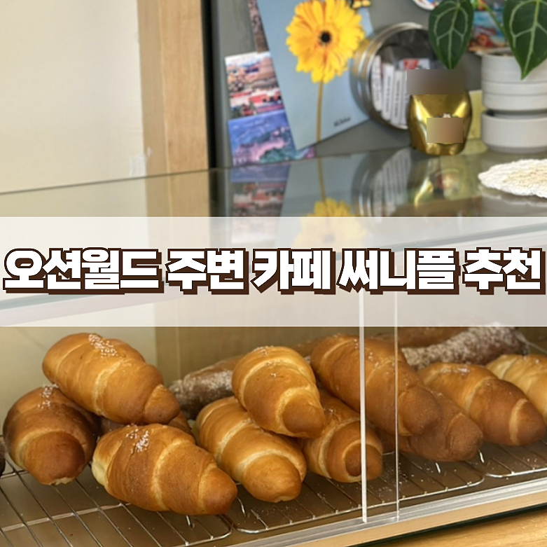 써니플 이미지