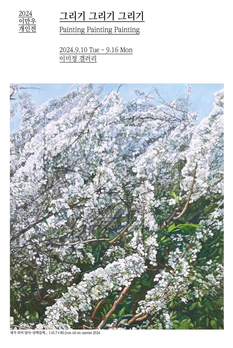 이미정갤러리 이미지