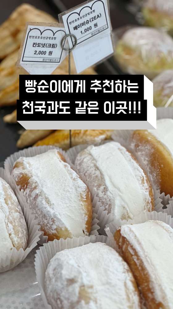 브레드 칸 이미지
