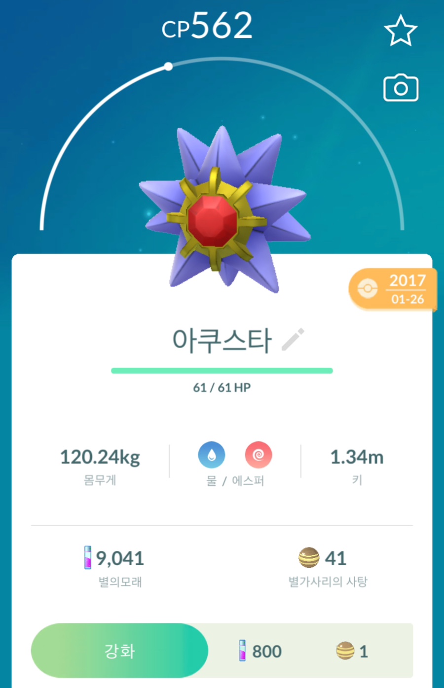 고다시 이미지