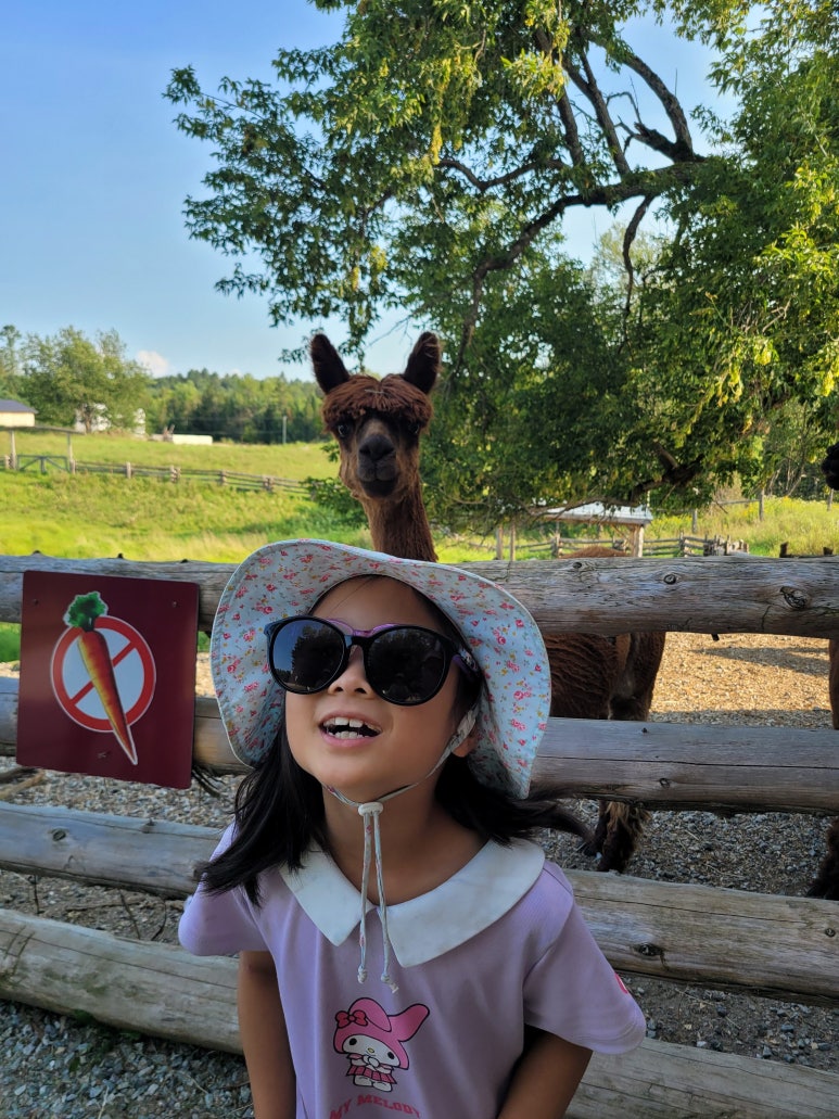 D+25 동물 친구와 함께하는 Omega Park(20240813 Tue) 네이버 블로그