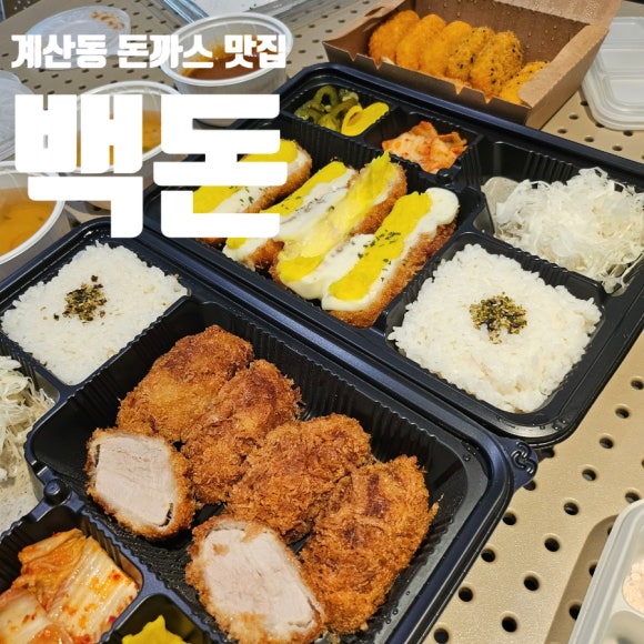 백돈 이미지