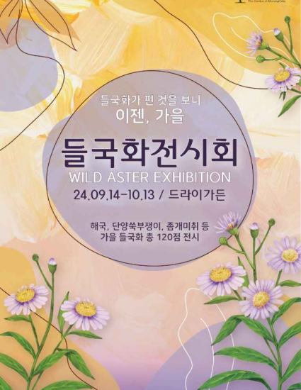 들국화가든 이미지