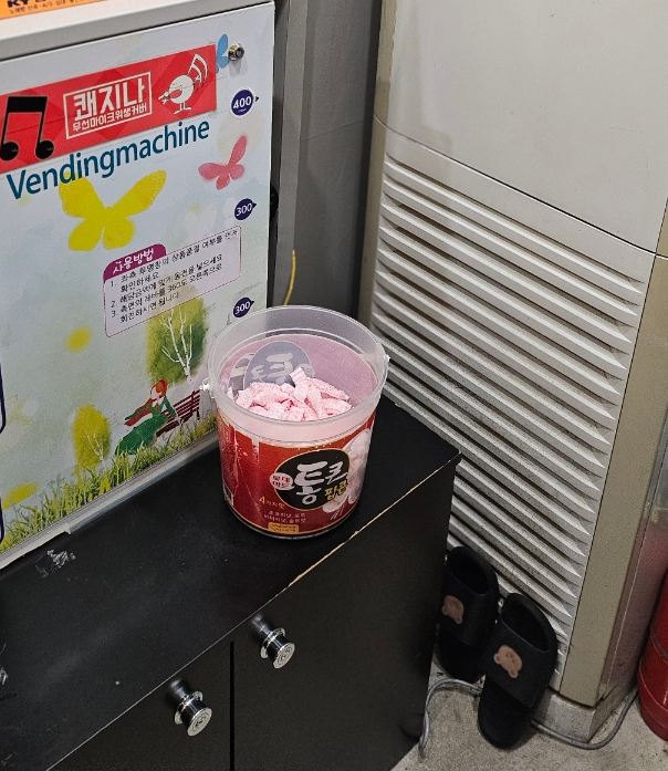 질러코인노래연습장 이미지