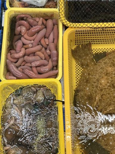 고성상회 이미지