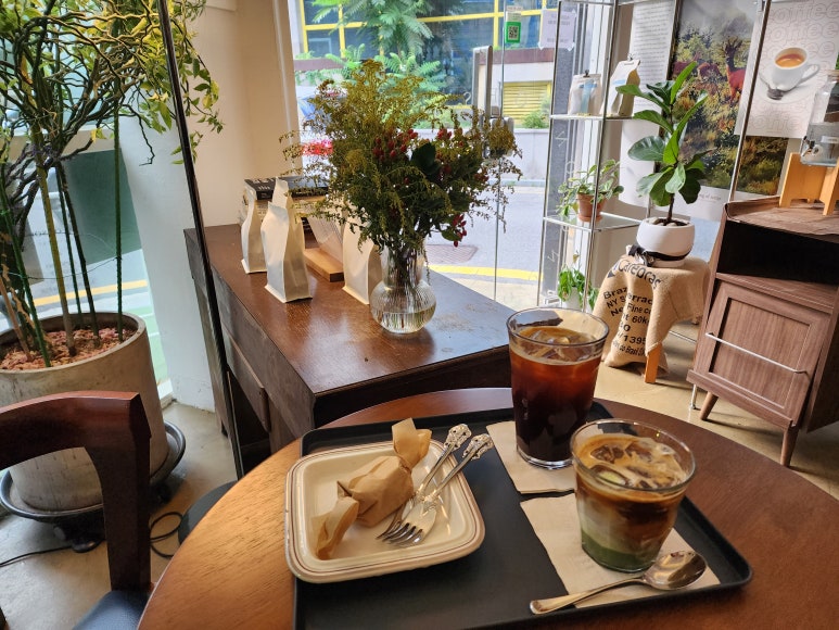송즈 이미지