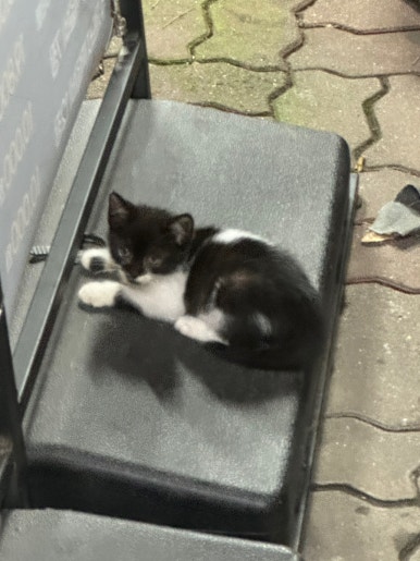 김호두(첨단점) 이미지