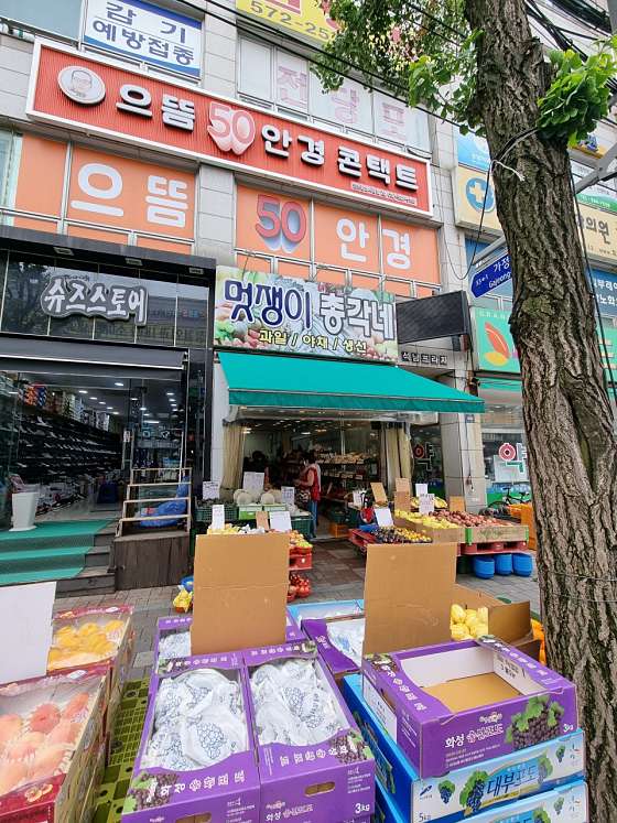 멋쟁이총각네 이미지