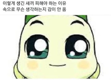 흥 이미지