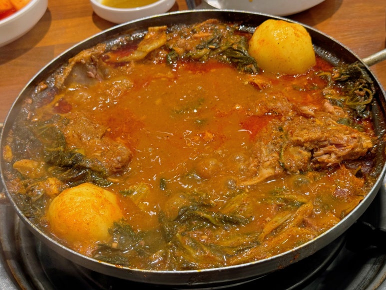 더오라 이미지