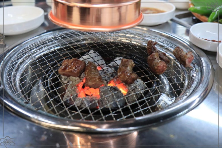 돼지에서 소까지 이미지