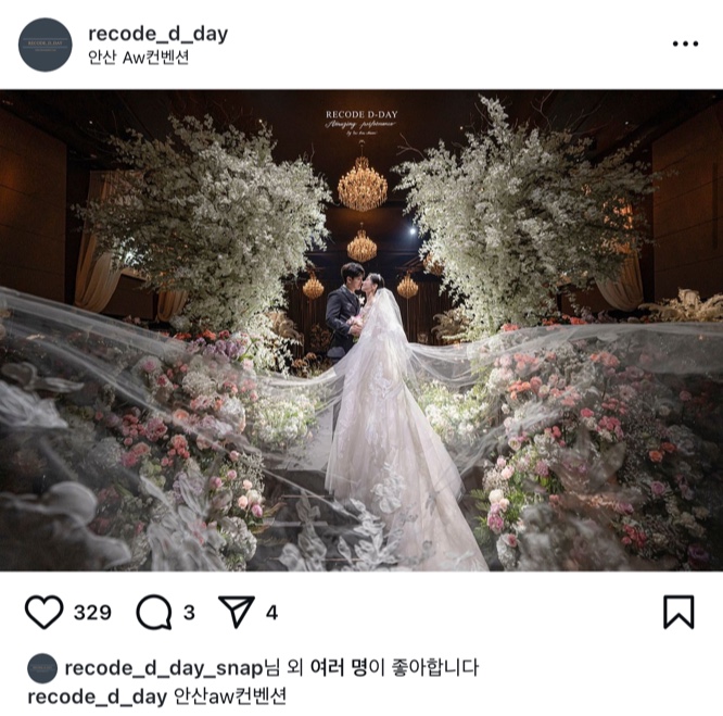 그냥해레코드 이미지