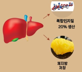 주식회사 호체 이미지