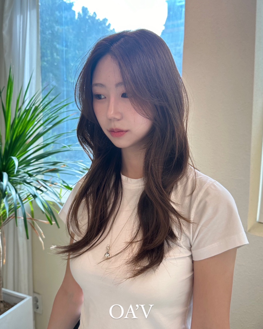 아브헤어 이미지