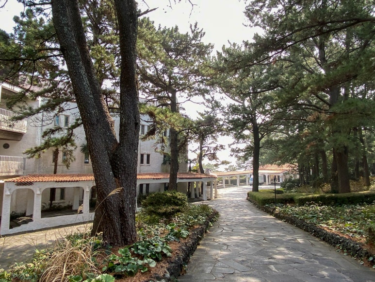 Paradise Hotel Jeju