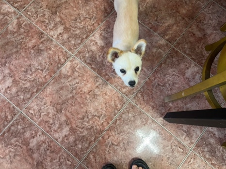 금수산손두부 이미지