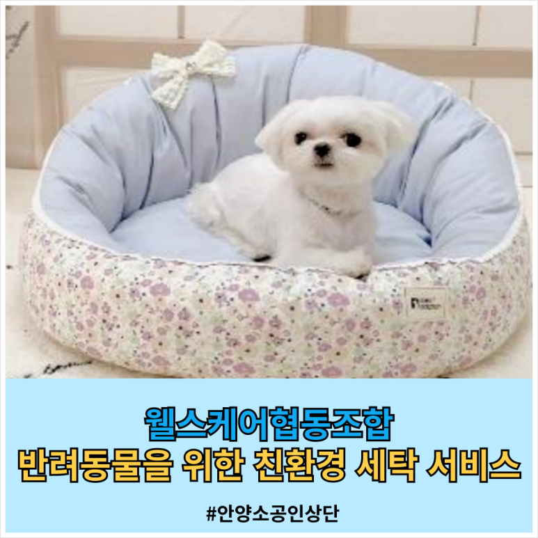 웰스케어협동조합 이미지