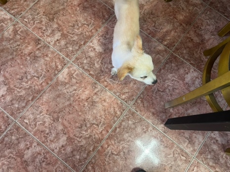 금수산손두부 이미지