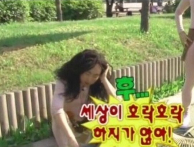 떼르떼 이미지