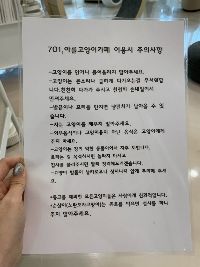 701아를고양이카페(cat in the art) 이미지