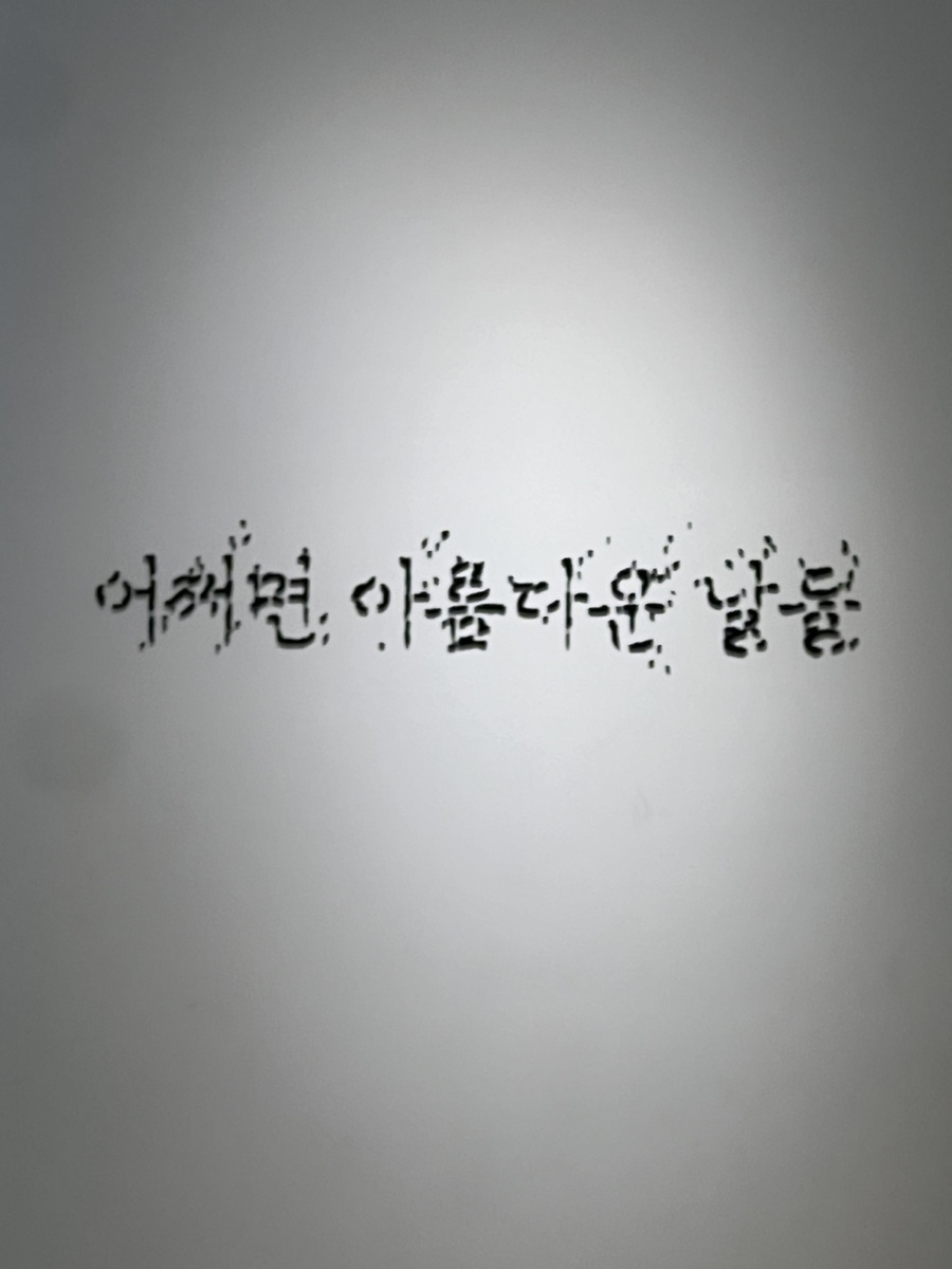제주새별 이미지