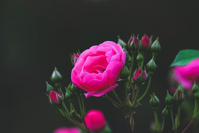 세종서관 이미지