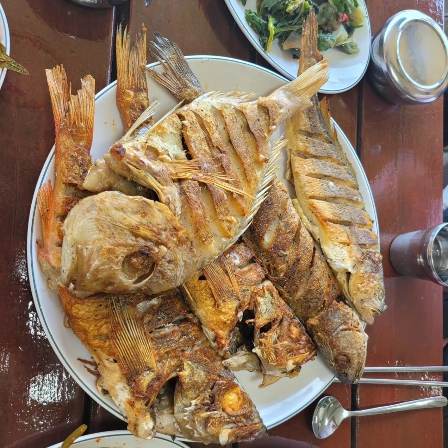 꽃섬식당 이미지