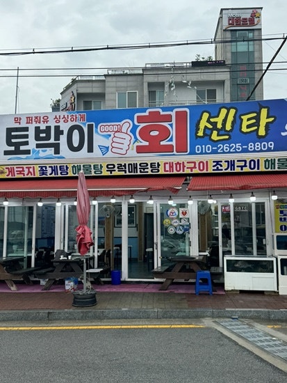 토박이회센타 이미지