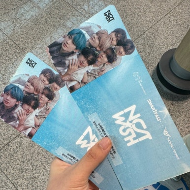 스테디패스 이미지